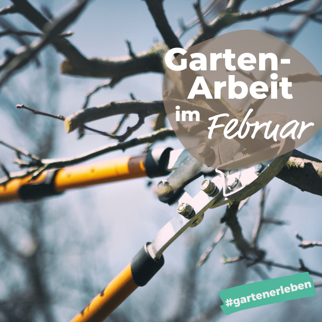 48+ Gartenarbeiten Im Februar, Nun ist die ideale zeit, um bäume zu